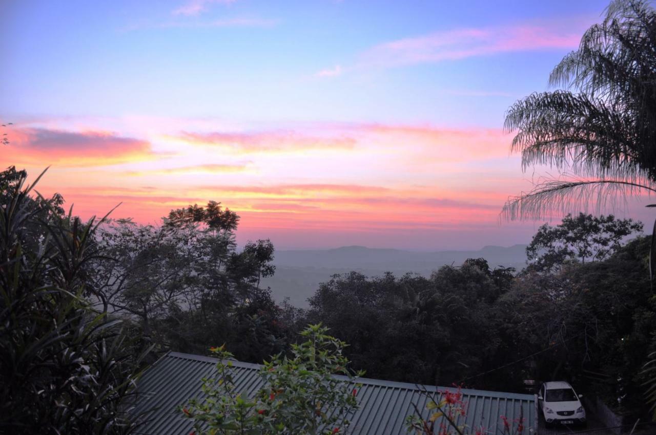Viewpoint Lodge & Safari Tours Хейзивью Экстерьер фото