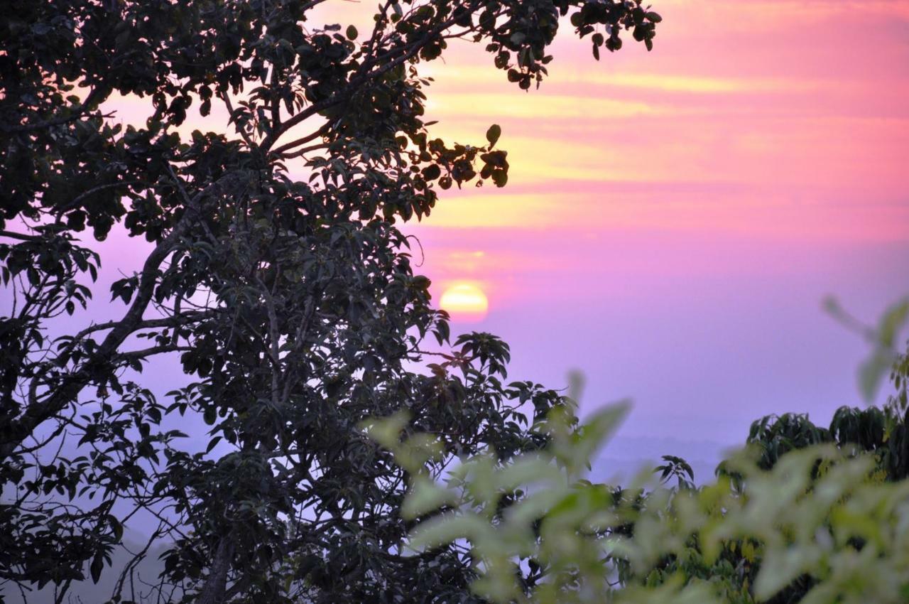 Viewpoint Lodge & Safari Tours Хейзивью Экстерьер фото